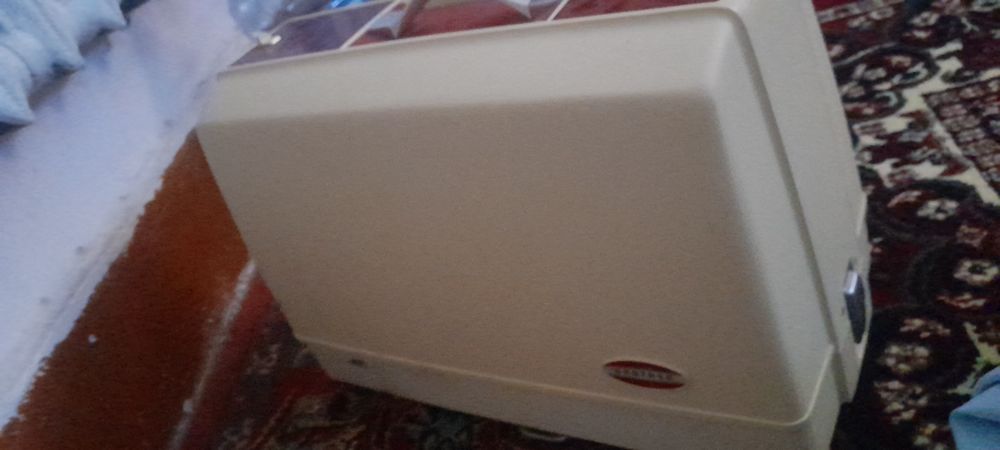 tokli tikuv mawin srochniy sotiladi