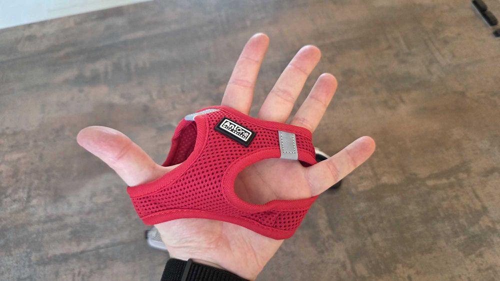 Vând 2 Hamuri Nobby, AniOne + 1 Lesă retractabilă Flexi