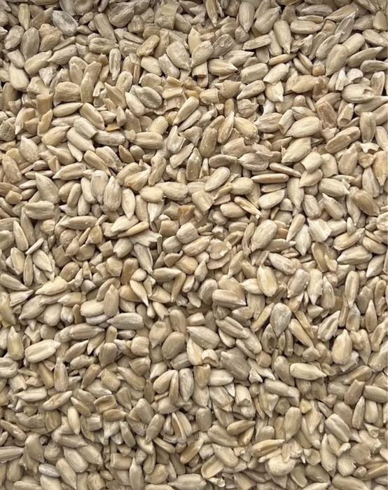 продам семечки подсолнечника