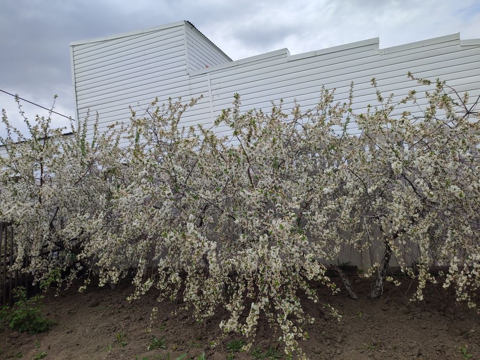 Продается теплый, уютный дом