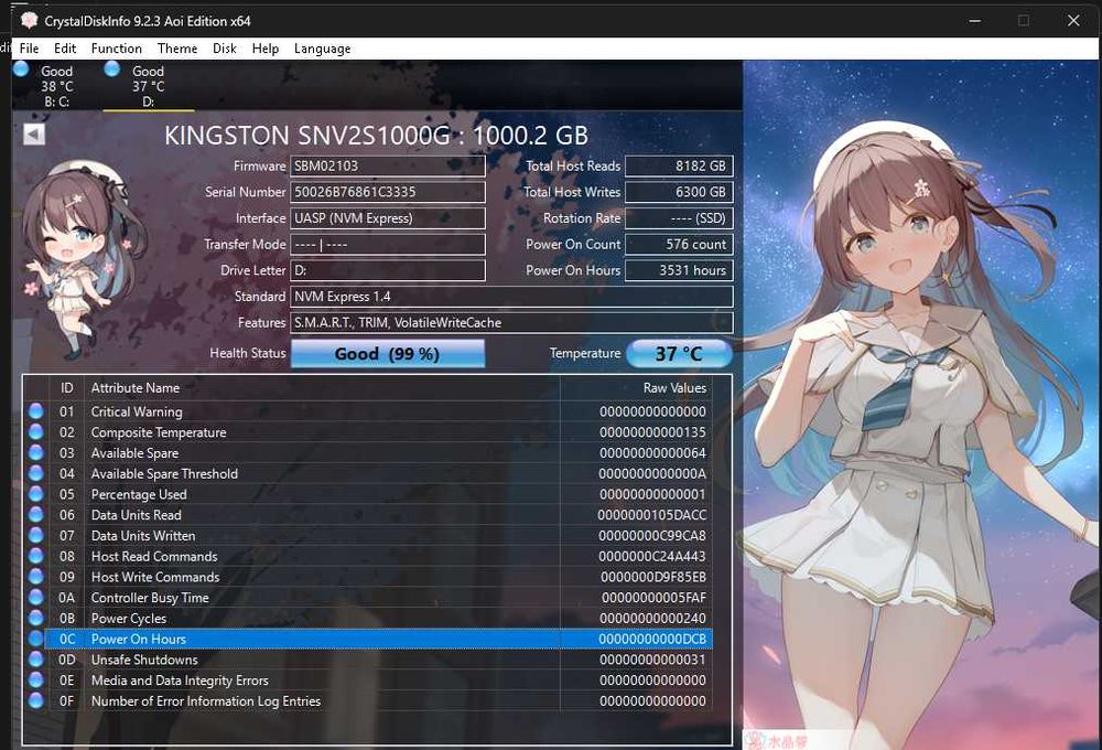 Vand 1TB SSD Kingston NV2 M.2