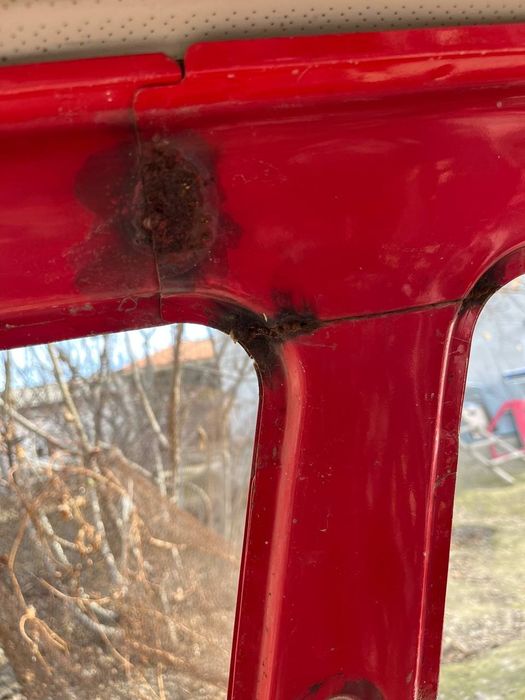 Тико рама яхши холатда