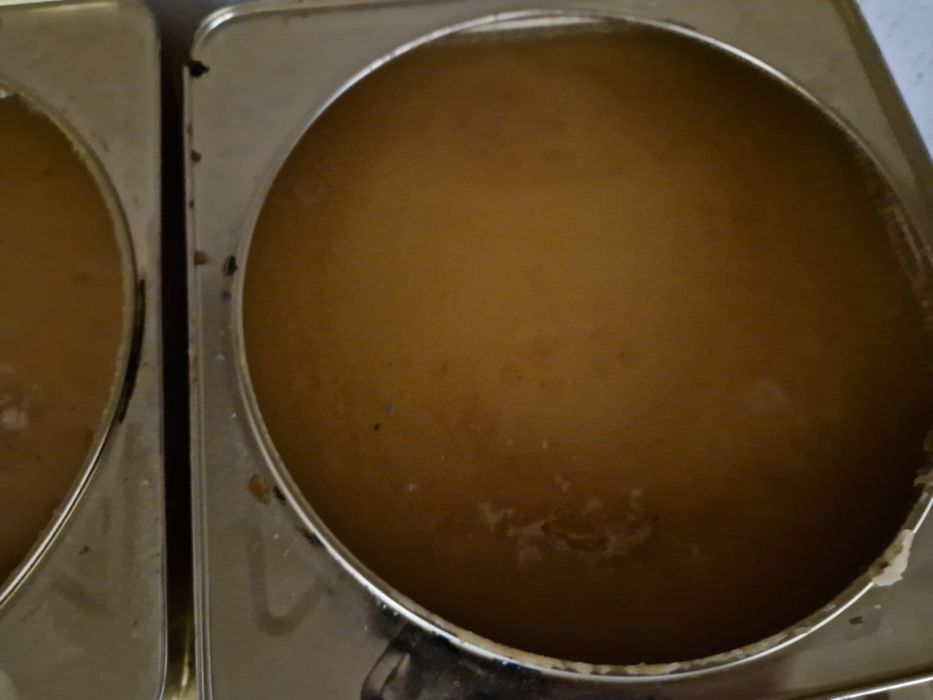 Билков мед 2025г за Горна Оряховица