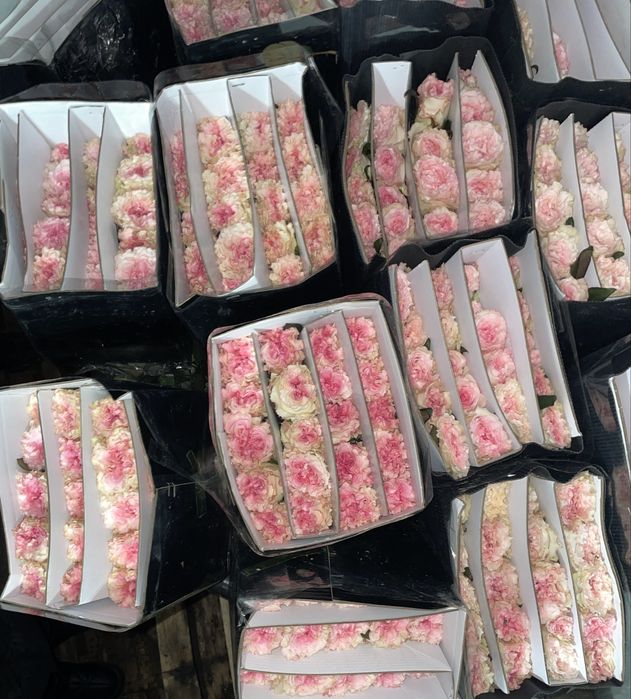 Продам Розы Rossel