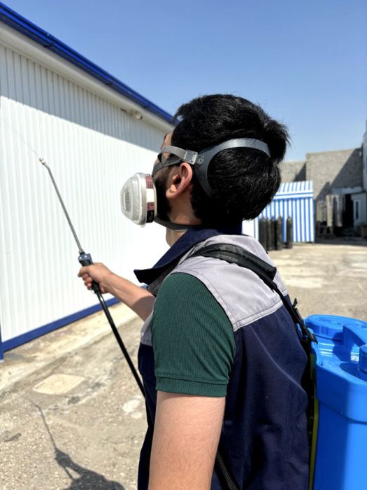 Dezinfeksiya дезинфекция 24/7 dizinfeksiya клапа таракан klapa tarakan