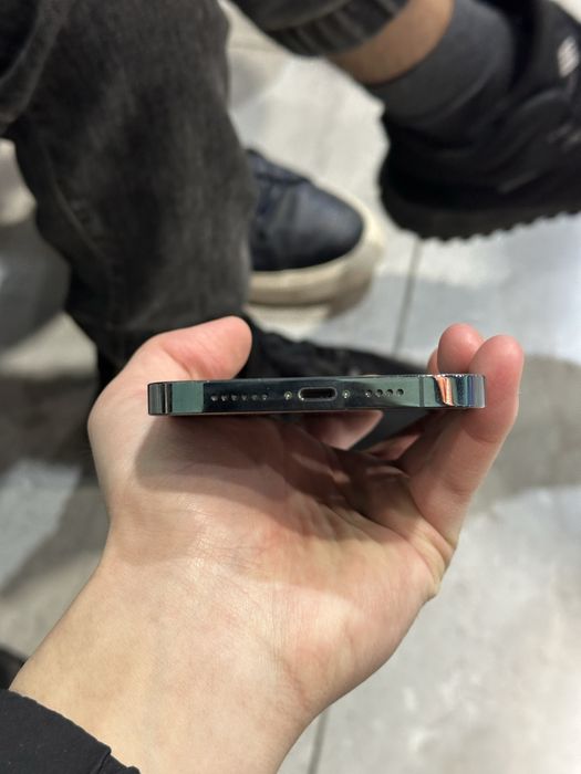 Apple iPhone 13 pro max