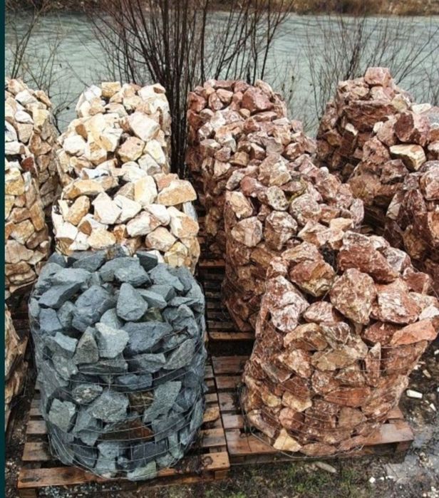 Bolovanii decorativi rosiatici si alb crem ornamentali gradina