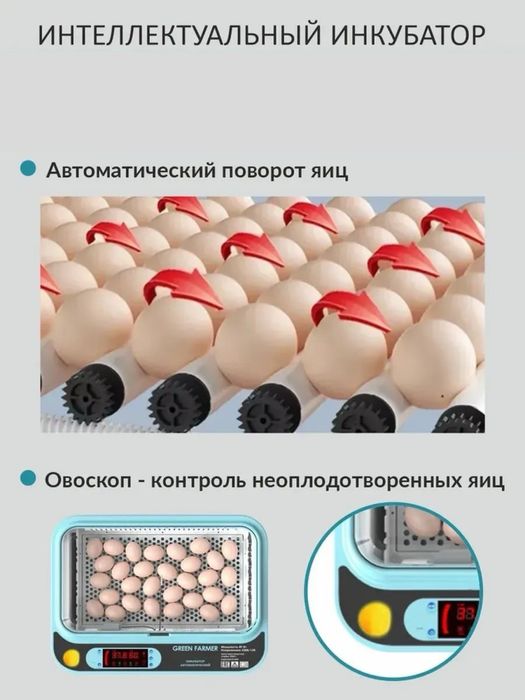 Автомат Инкубатор для яиц 12/24/36/64
