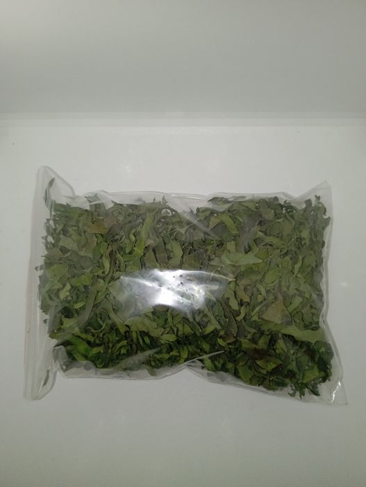 Джинура Прокумбенс