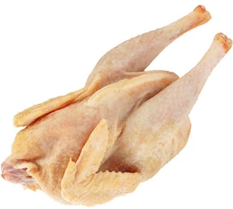 Продам домашних куры