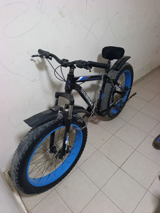 Velosped kattalarniki