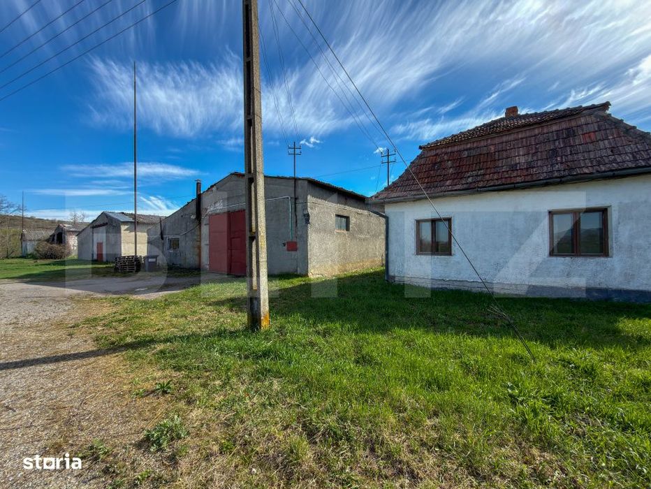 Complex Industrial (2 Hale + Birouri) pe 7.000 mp teren, Gheghie, jud.