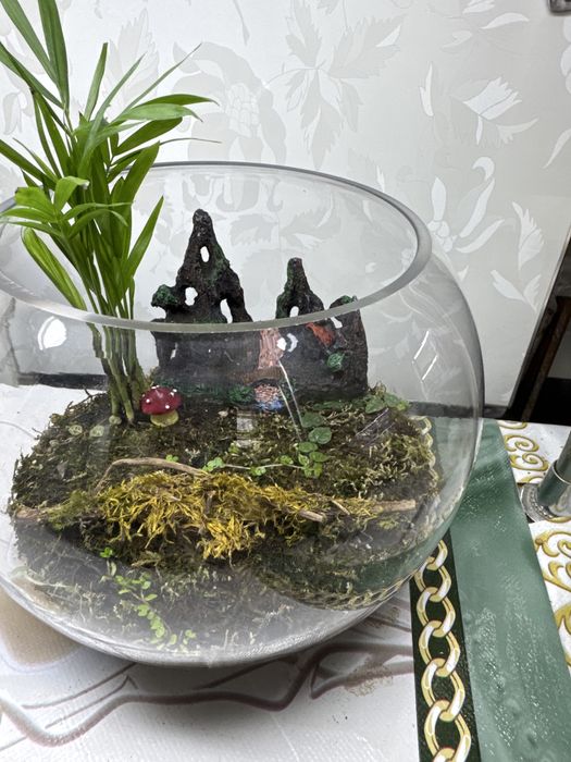 Продам открытый флорариум!