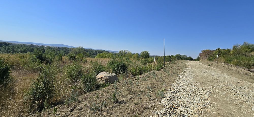 Vand Teren 1.000 m² Podgoria str. Facliei