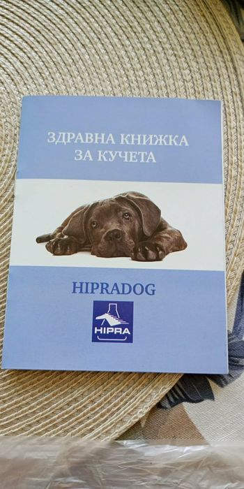 Малко Лабрадорче