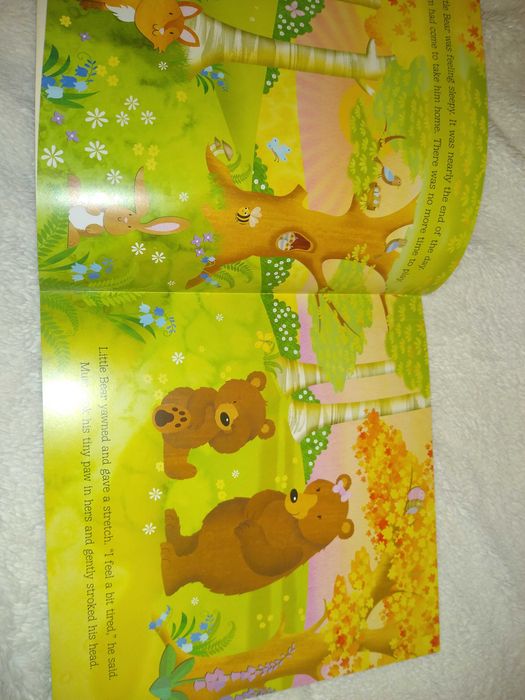 Carte în engleză My Sleepy Bedtime Stories