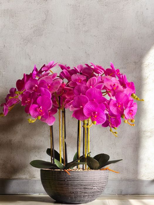 Компазиции из искувенных Орхидеи (Орхидея)