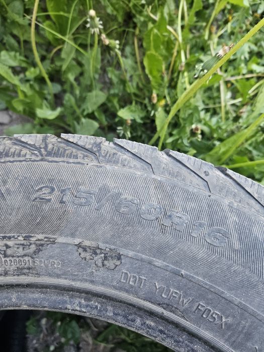 Продам два балона Виатти