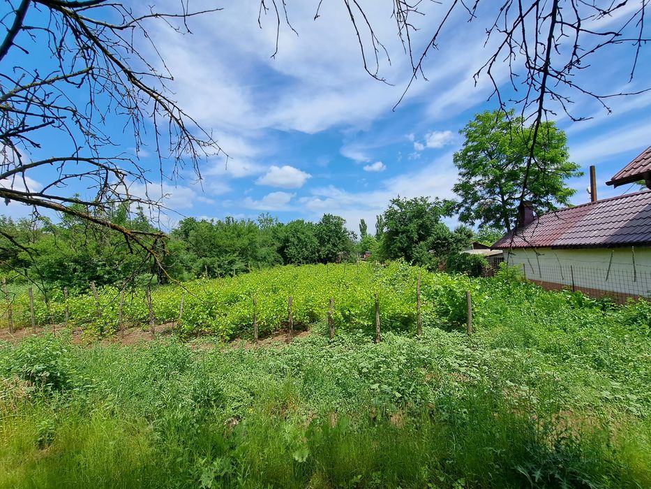 Teren intravilan 2300