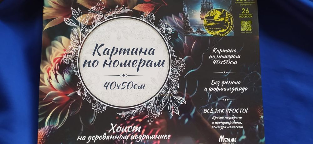 Картина по номерам MOLLY