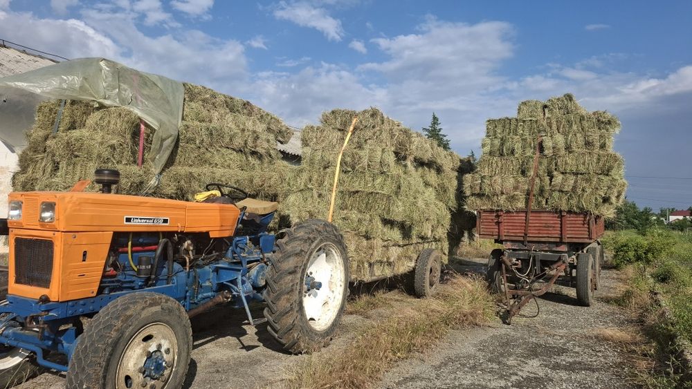 Vand baloți  de fan cu lucernă