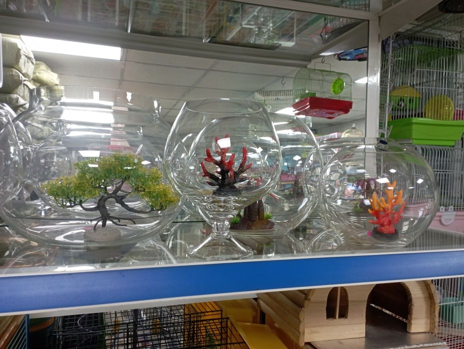 Аквариумы  новые