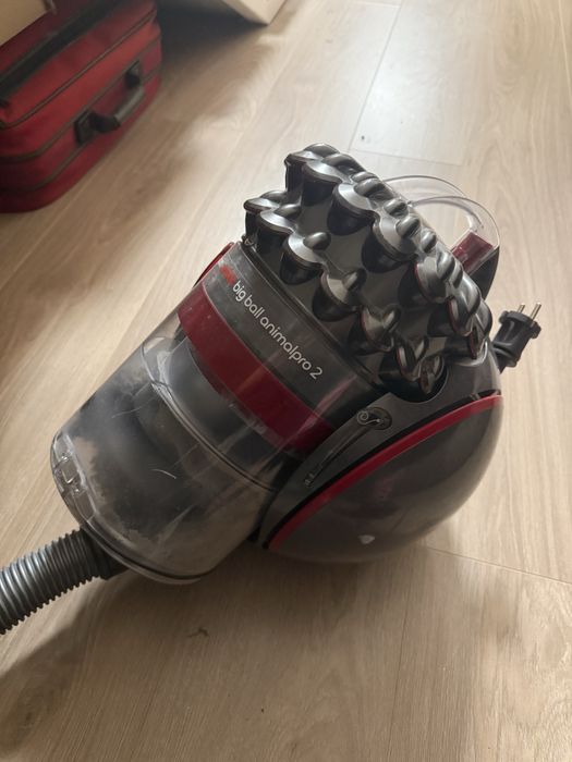 dyson big ball animal pro 2