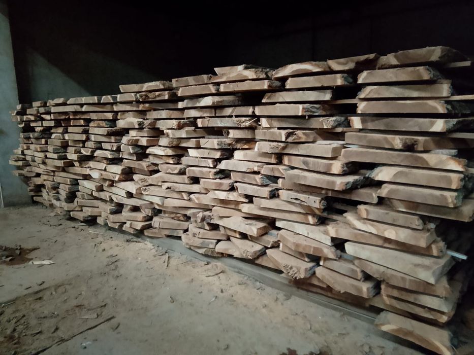 Карагач. Қарағаш