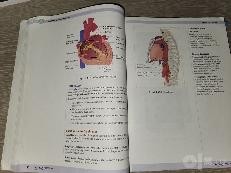 Оригинальный комплект USMLE Step 1 (США, 7 книг)