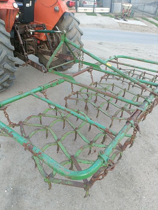 Grape cu colți în stare bună