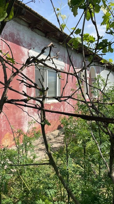 Vand casa Tepes Voda