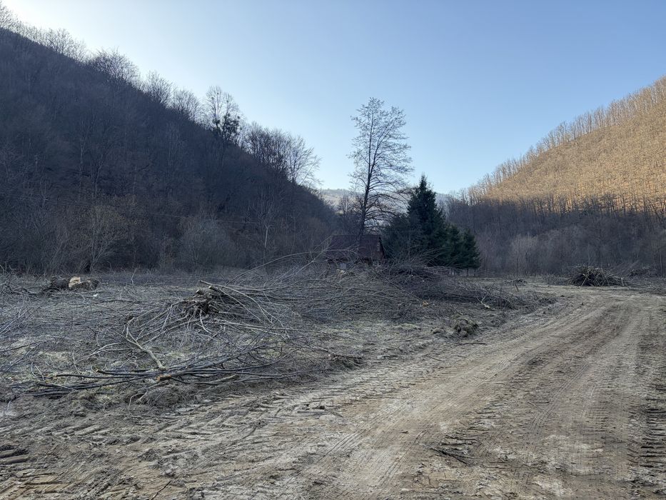 Teren Intravilan Valea Ierii Frăsinet