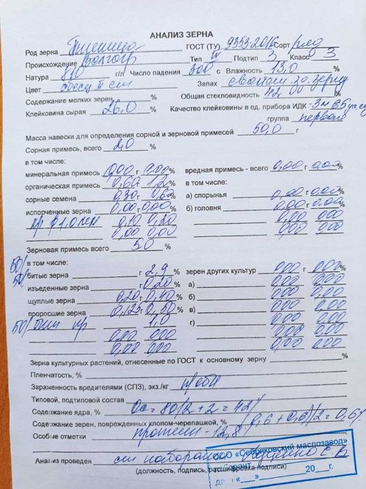 Пшеница, Лён, Кукуруза (урожай Казахстана) оптом продаётся