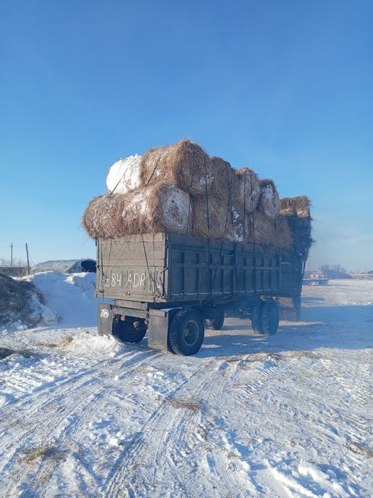 Продам сено в рулонах с доставкой