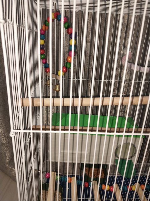 Папугайға арналған клетка