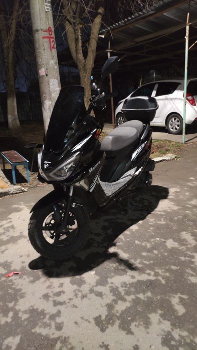 Tiger skuter sotiladi