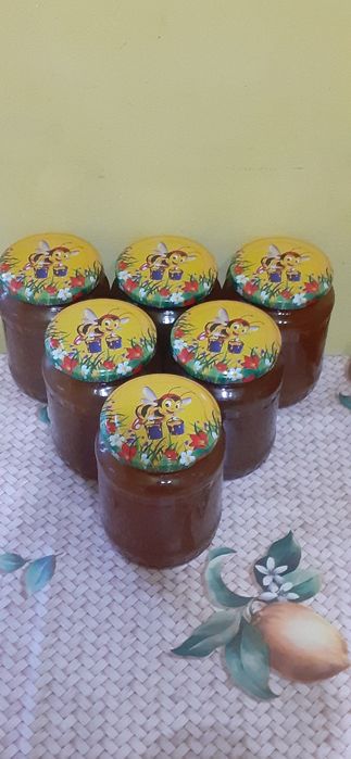 Vând miere poliflora, producție 2023