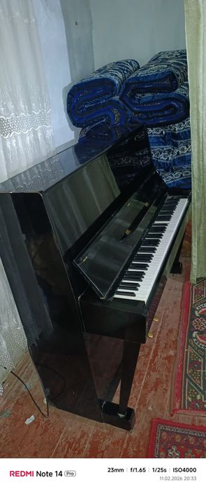 Pianino  sotiladi