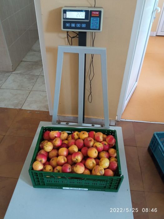 Lazi lădițe feluri navete plastic pliabile diferite dimensiuni