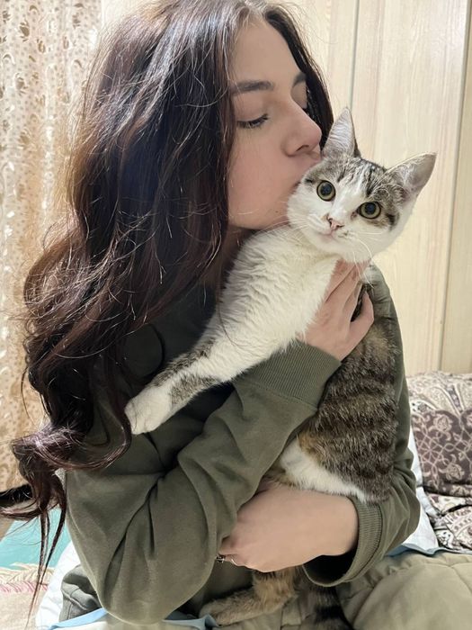 Кошка девочка бесплатно