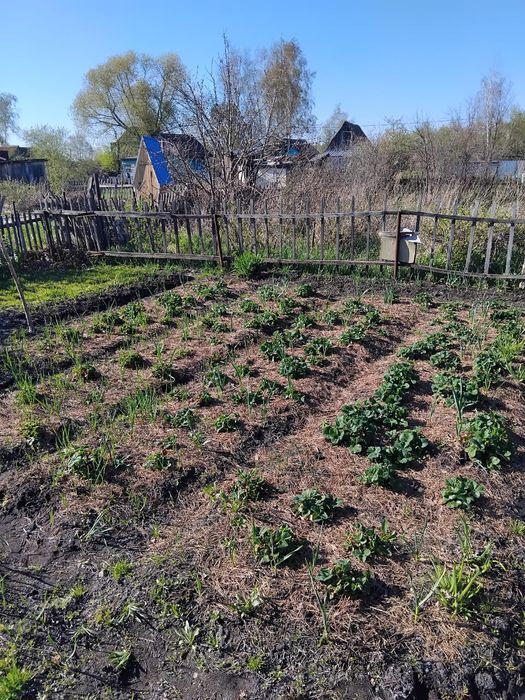 Продам дачу СТ "Борки"