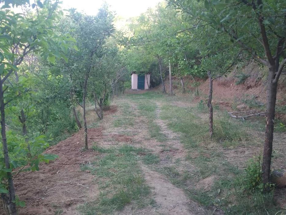 Продается дача.Дача сотилади.Бостонлик.Бостанлык.Bostonliq.Dacha.Дача