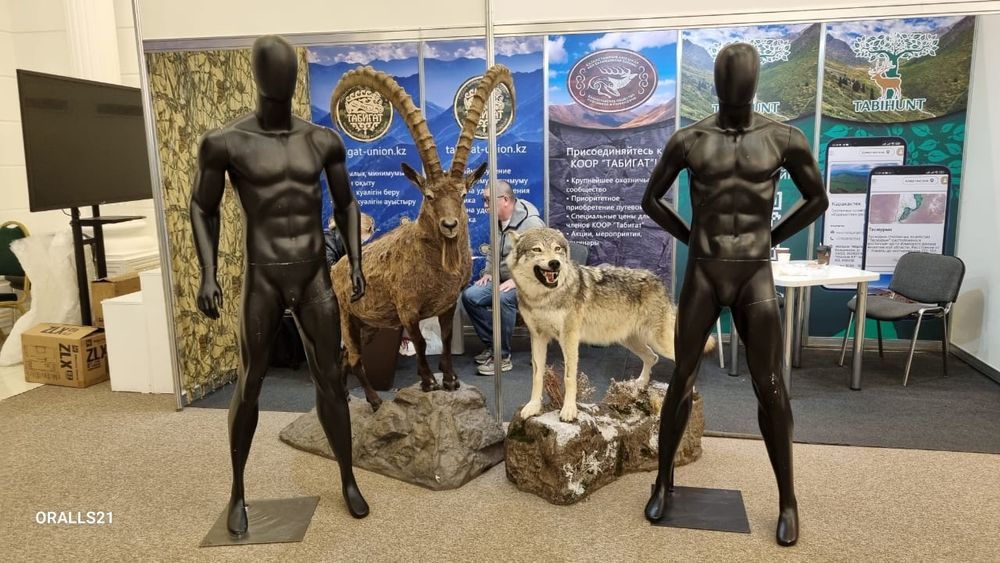 Аренда манекен, прокат манекен