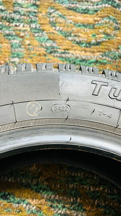 Балон зимний . Шиповный