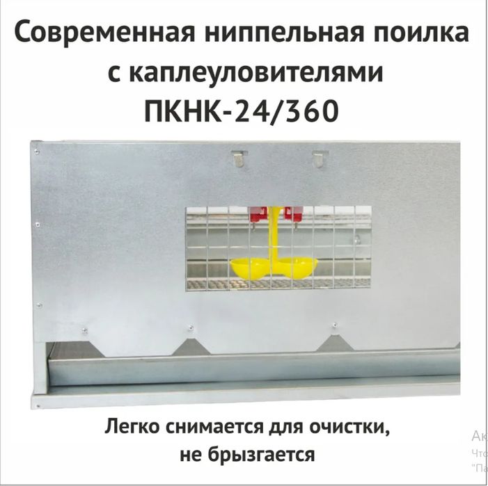 Клетка для кур несушек