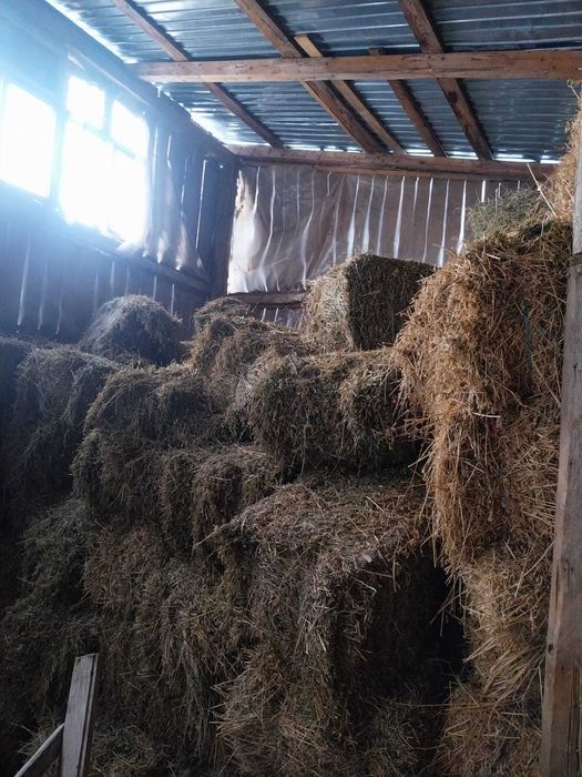 Vand baloti de lucernă si otava