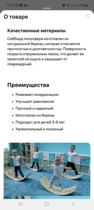 Сибборд,  полусфера балансировочная