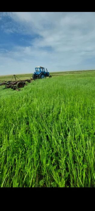 Сено рулон шөп сатылады