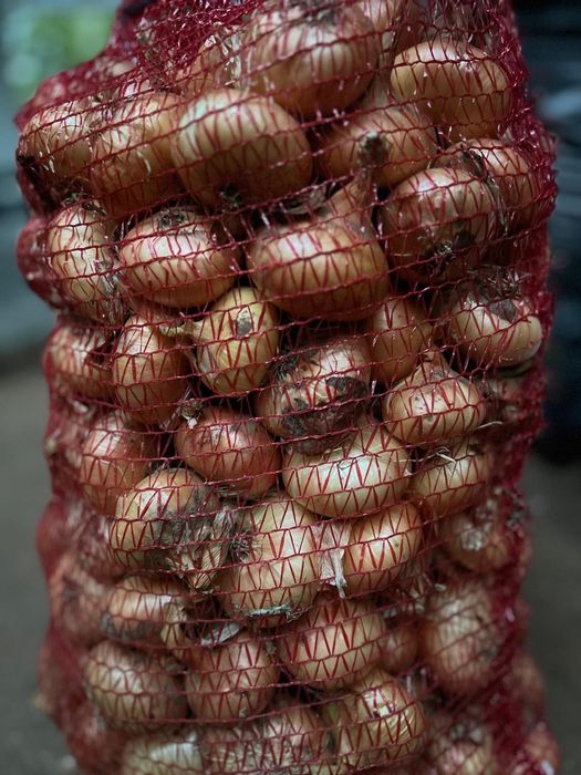 Ceapă albă de vânzare