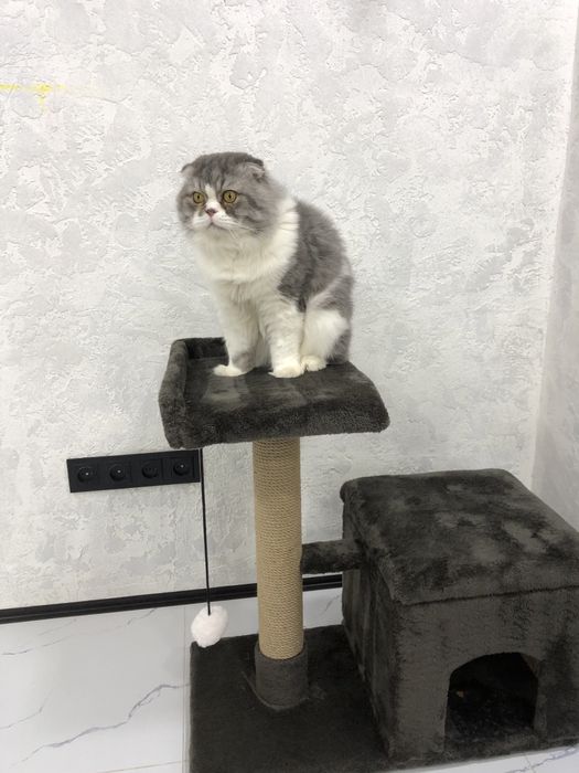 Домик для кошек с когтеточкой !